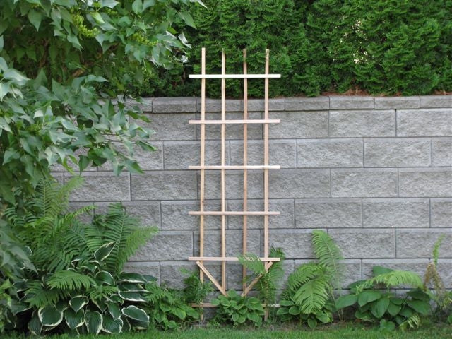 Ladder Trellis 2' x 6' - Red Cedar