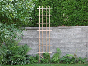 Ladder Trellis 2' x 8' - Red Cedar