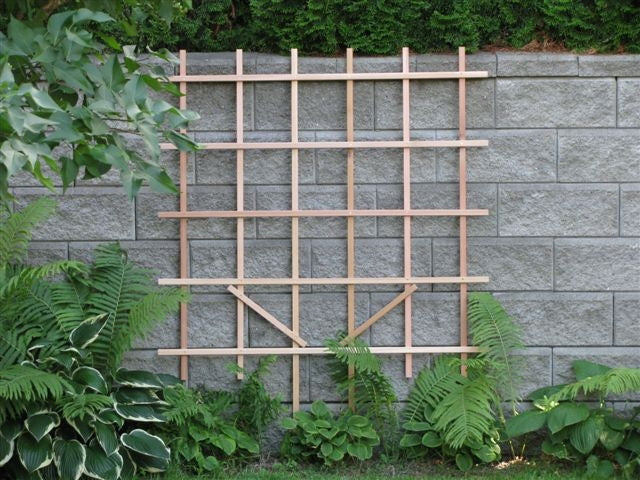 wooden espalier trellis Espalier Trellis 4' x 4'