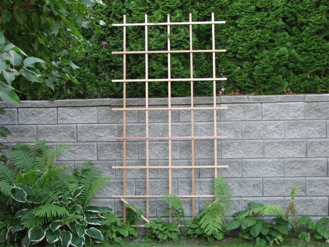 4x8 wood trellis Ladder Trellis 4' x 8'