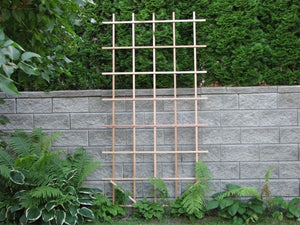 Ladder Trellis 4' x 8' - Red Cedar