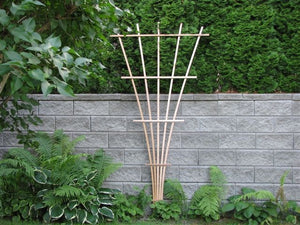 wooden garden fan trellis Fan Trellis 8'